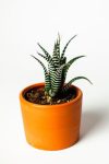 test5